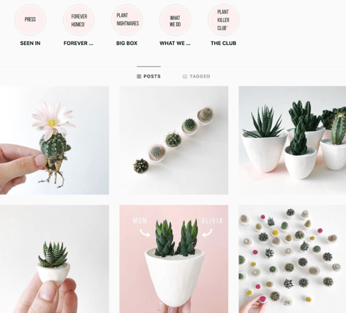 tierra sol studio instagram