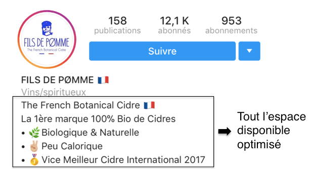 aller a la ligne instagram espace biographie