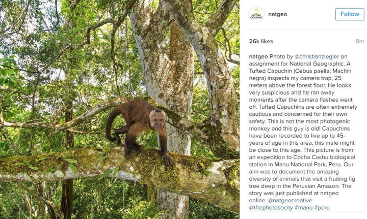 natgeo instagram post