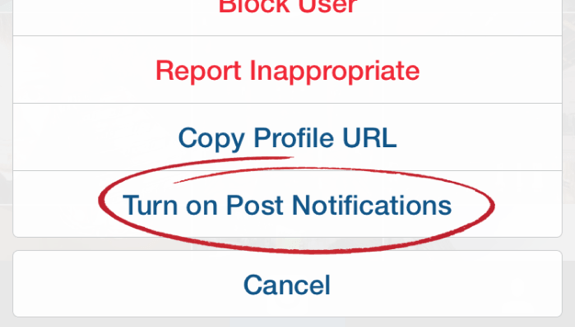 instagram activer notification