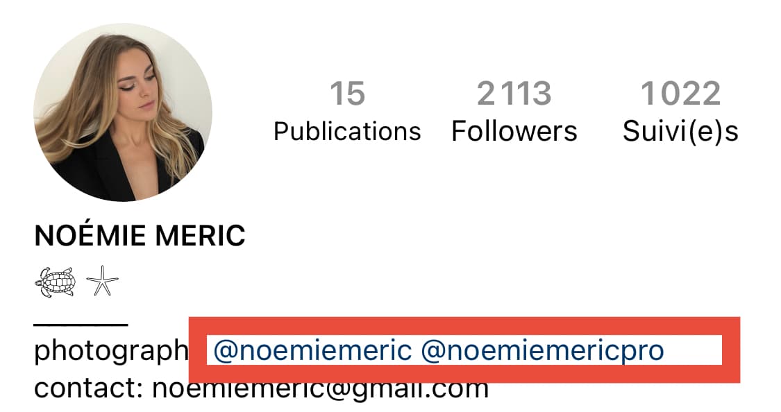 identification biographie instagram