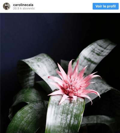 idee photo instagram 10
