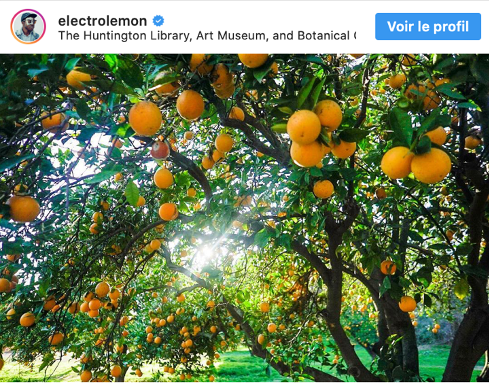 point de vue post instagram