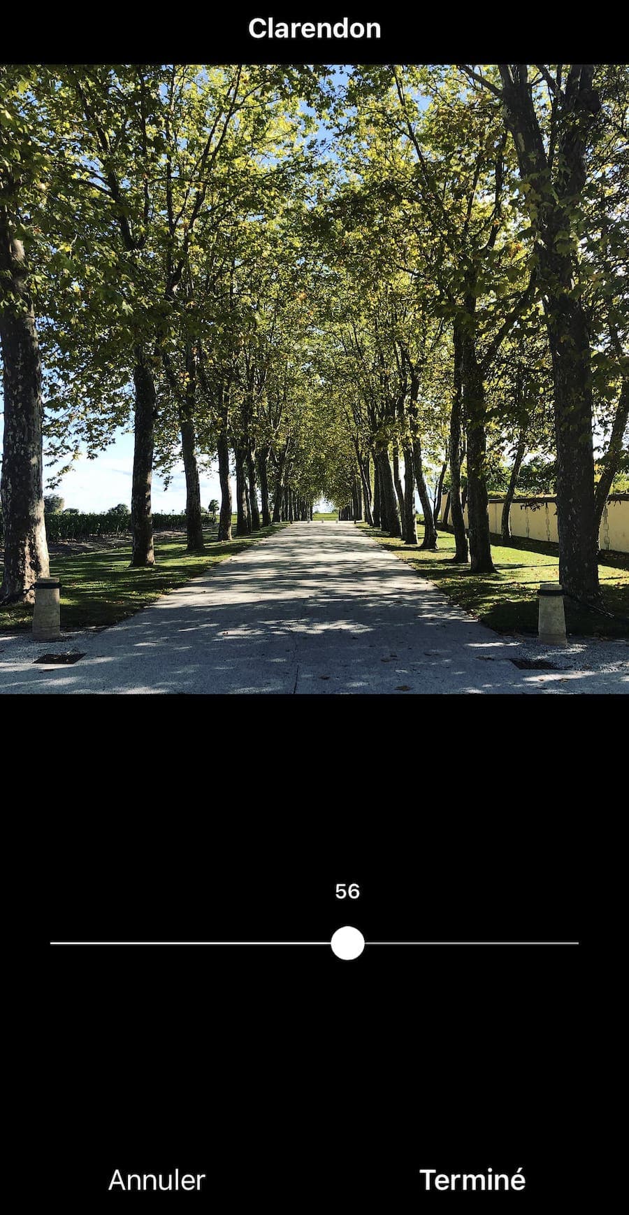 intensite effet instagram