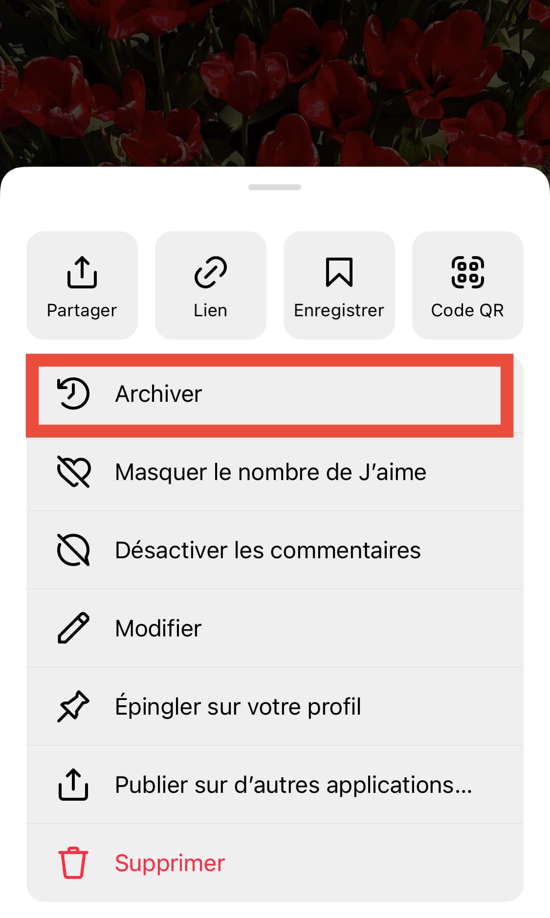 archiver publication instagram