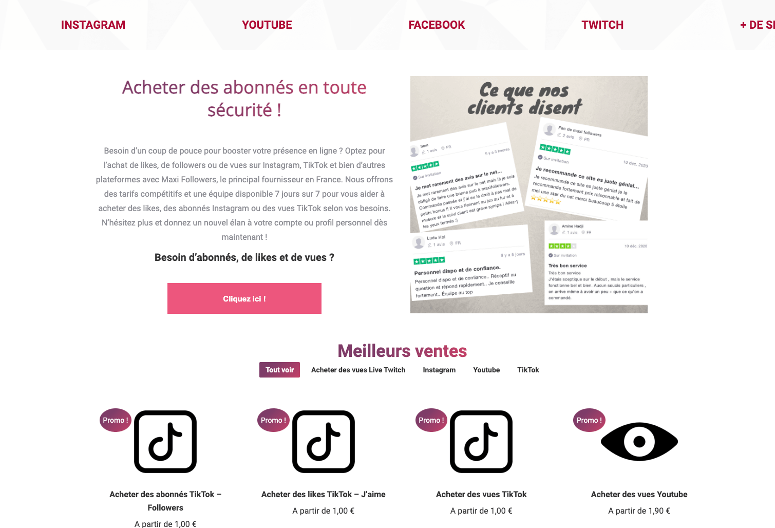 Maxifollowers landing page