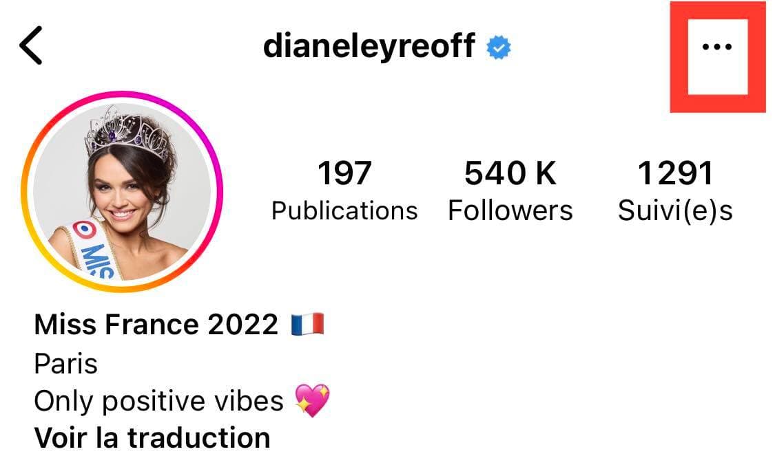 copier lien page instagram application