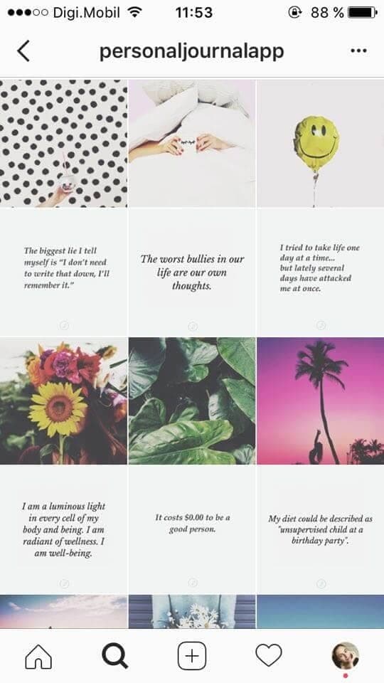 feed instagram ligne horizontales