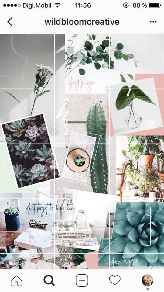 feed instagram immersif
