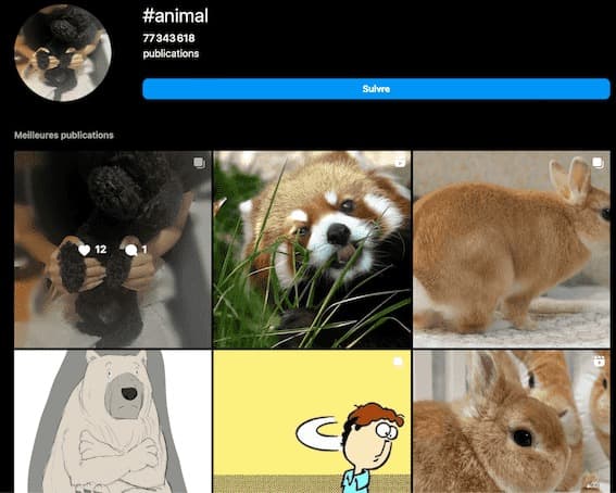 hashtags photographie animaux