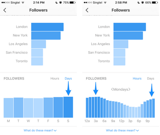 instagram statistiques followers
