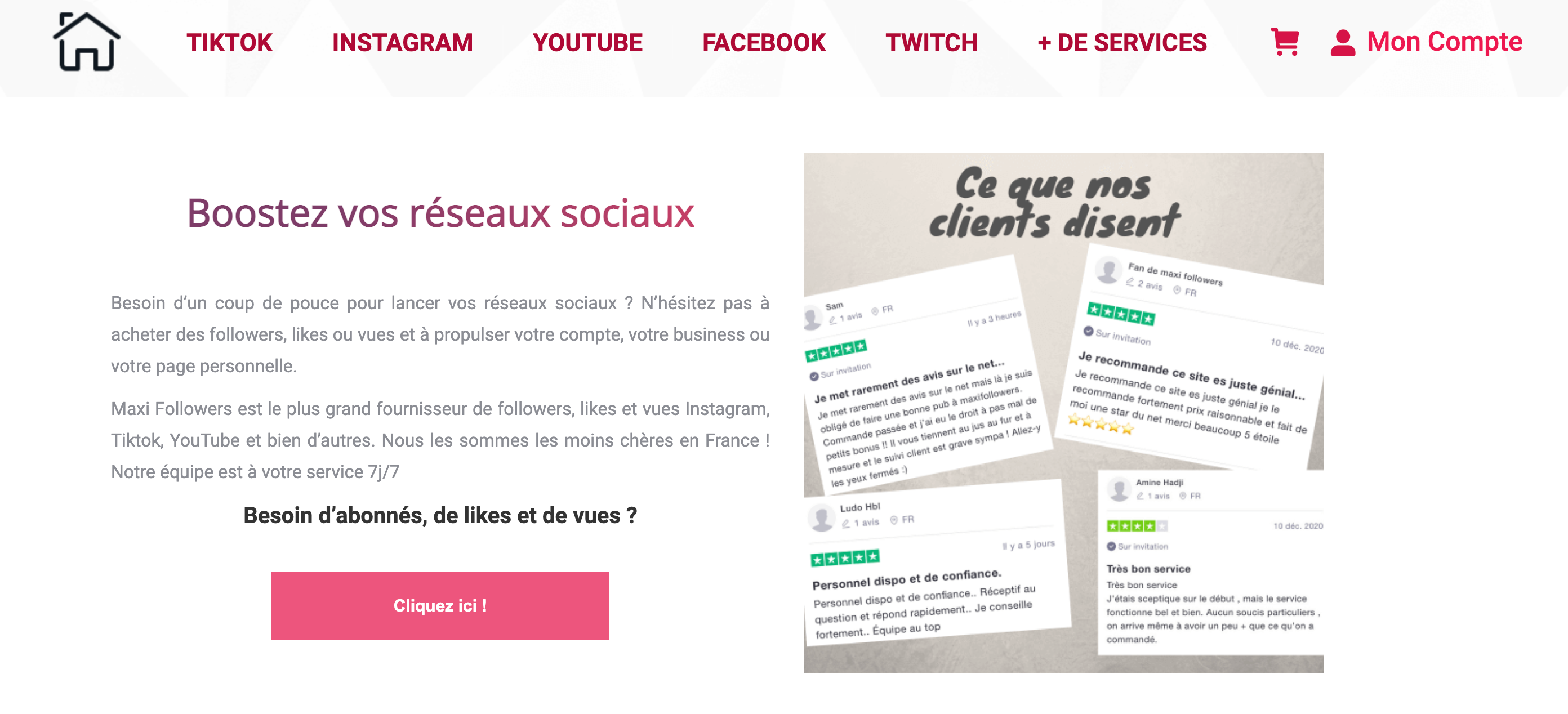 avis et alternatives à maxifollowers