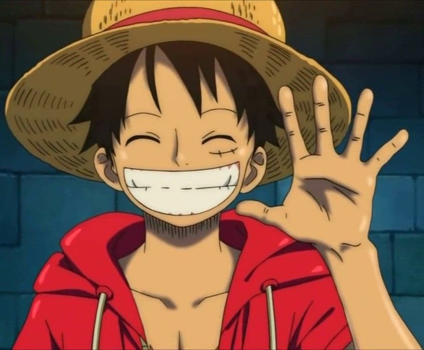 luffy photo profil